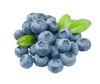 Blueberry Copy Image